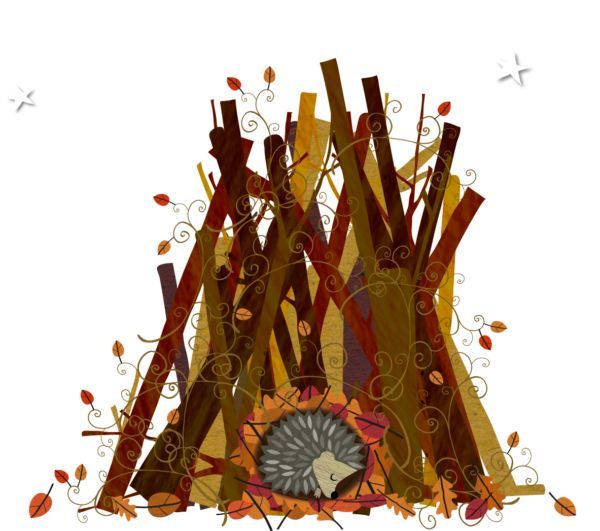 This week, we're talking about #bonfires! 
🦔 🚫 🔥 

We've put together top tips on how best to reduce the risk of harming #hedgehogs this #bonfirenight - please share it far &amp; wide!

STOP. MOVE. CHECK! ⬇️

buff.ly/4eo95wC  

#rememberhedgehogs #MondayMotivation