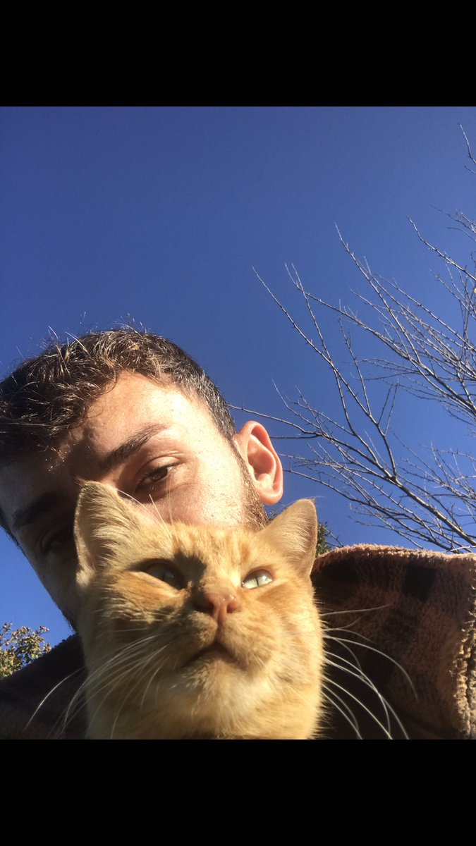 90Bpmm's tweet photo. Kedi kaybeden var mı https://t.co/aMr20oxT6x