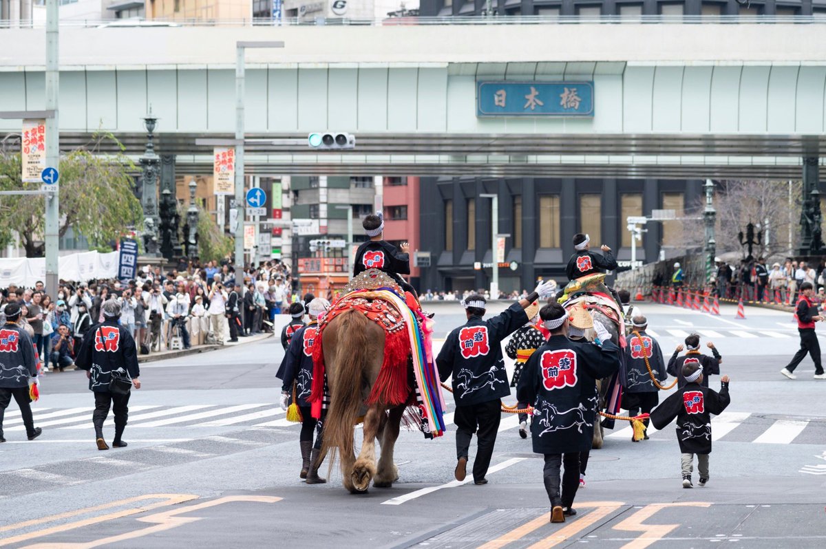 日本橋を闊歩する馬コ🐴

#チャグチャグ馬コ 
#日本橋京橋まつり