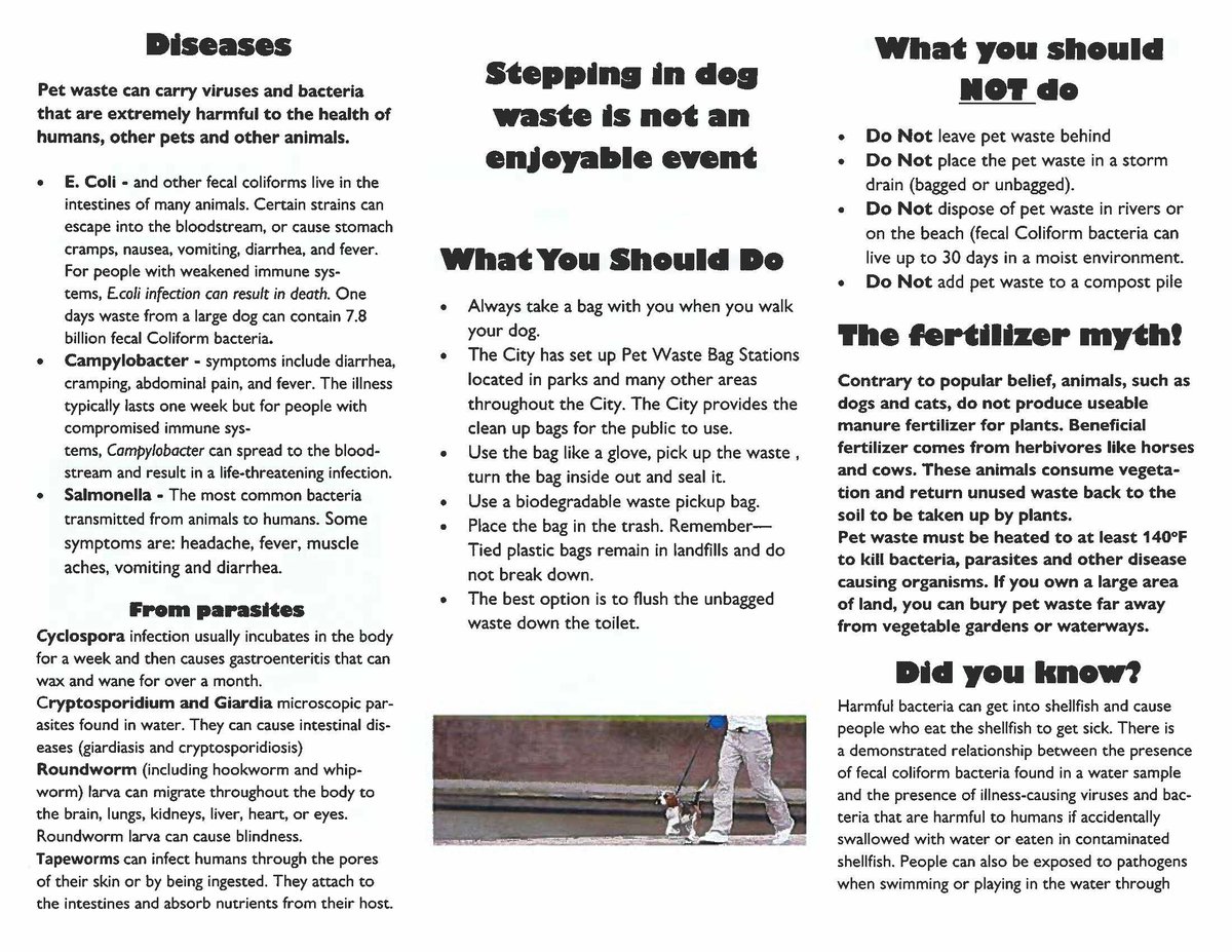 New Bedford DPI (@nb_dpi) on Twitter photo 