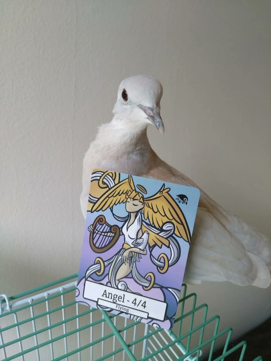 Tretty_k's tweet photo. @Ashlizzlle_ Magic Dove close enough? @creaturetoken https://t.co/2ZpQbm7C0y