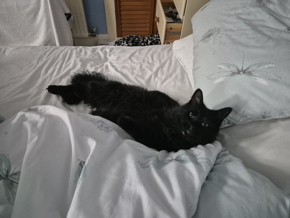 Digital X tweet media