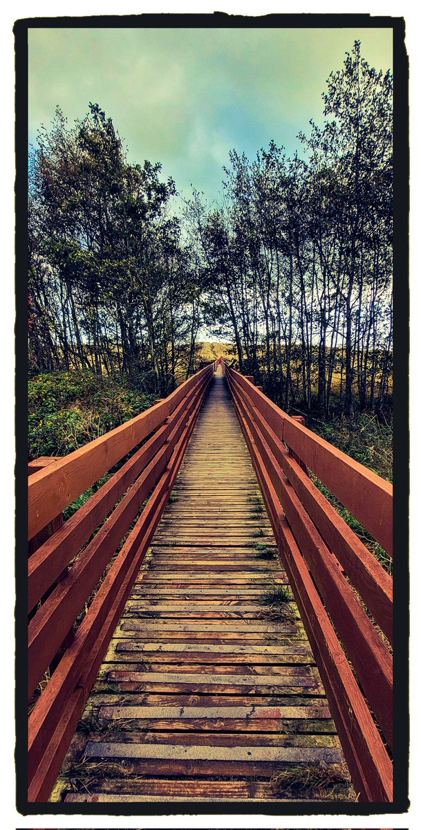 Brian1112S's tweet photo. Bridge to the beach #bridge #beach #fife #visitscotland  #fifecoast #PHOTOS  #PictureOfTheDay https://t.co/CqZWFob4iY