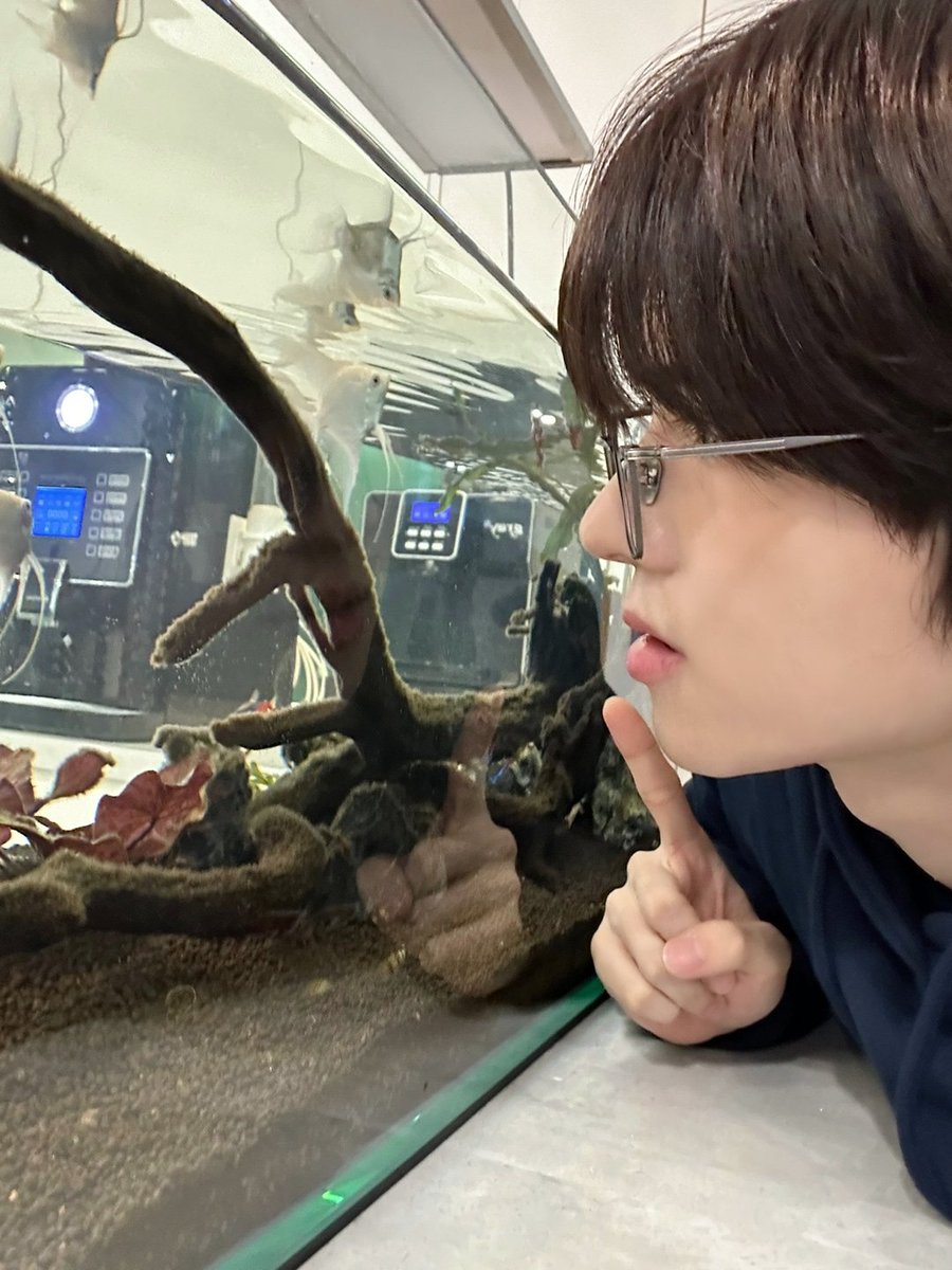 [#YORCH]
밤새 시험 공부 했어요~📚
#POW #파우 #요치 #Boyfriend #보이프렌드