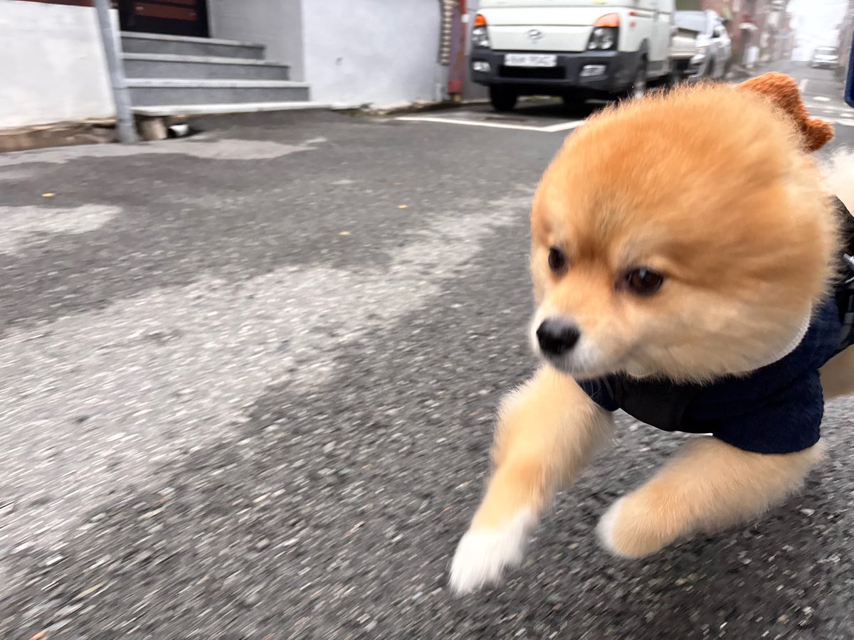 집에 성인용품 시킨 거 왔는데 엄마가 뭐냐고 카톡왔을 때