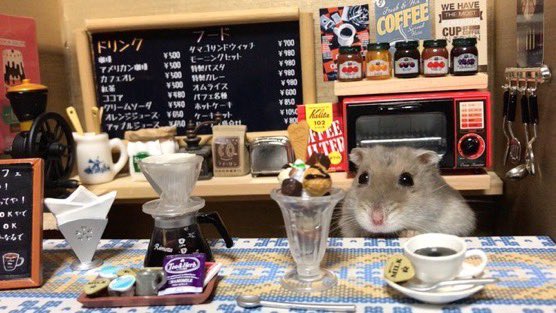 jinpachi_ham's tweet photo. 初代店主ハムスター　銀次
二代目店主ハムスター　鉄平
三代目店主ハムスター　じんぱち https://t.co/IFWJG1asjY
