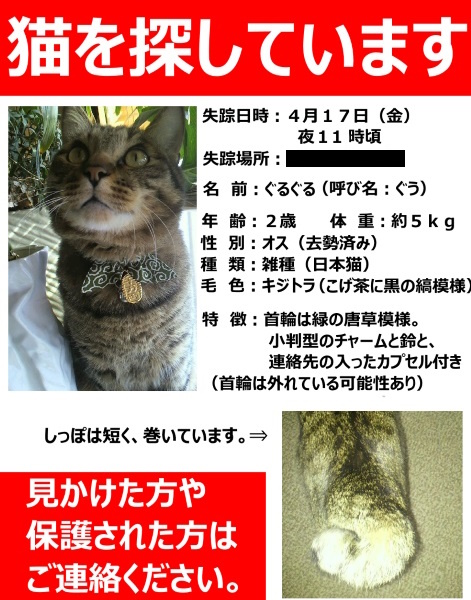 ９年前のぐうちゃん。

失踪してました。😨

＃ぐうちゃん頑張った
＃キジトラ猫