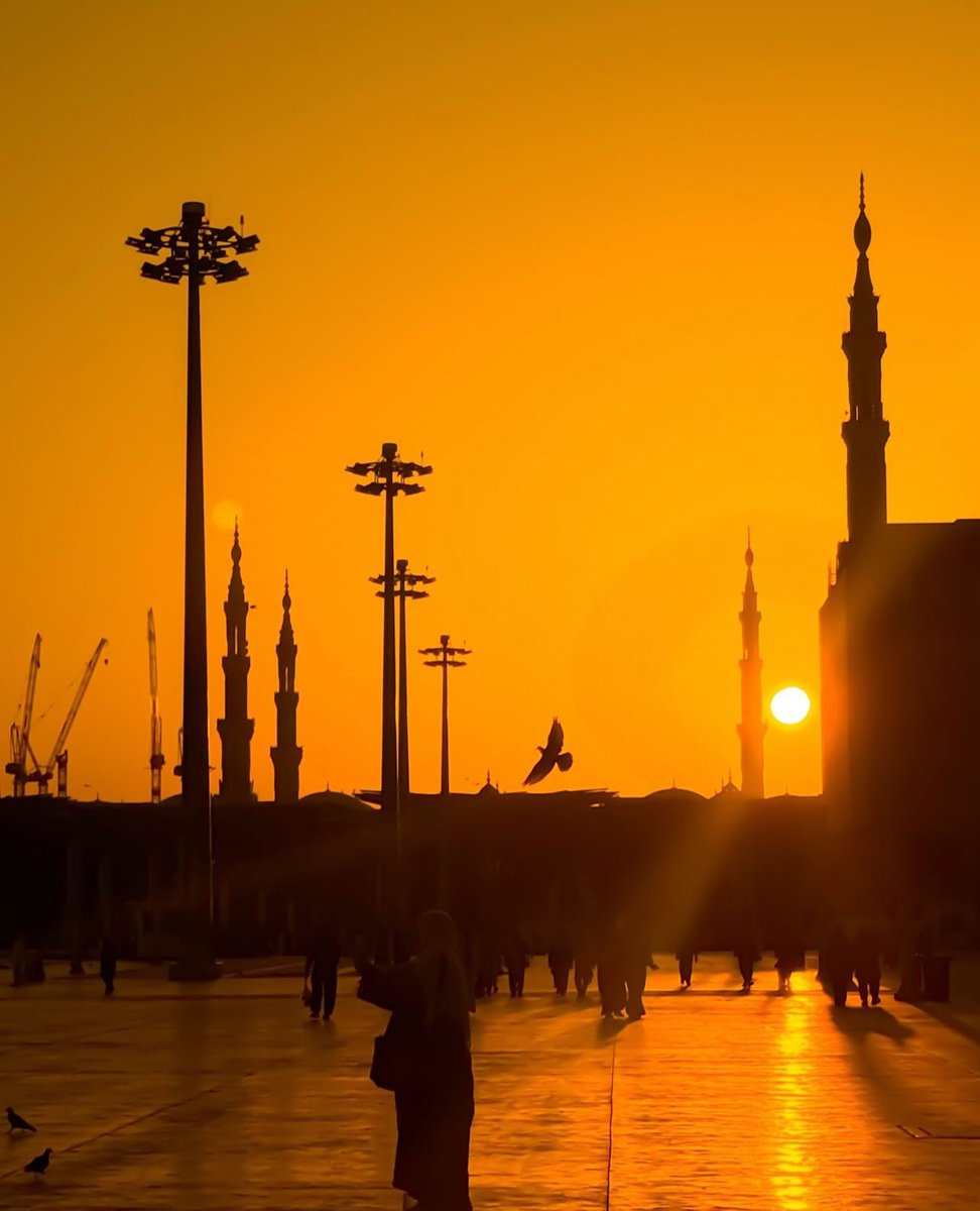 Arab Dunya | عرب دنیا tweet media