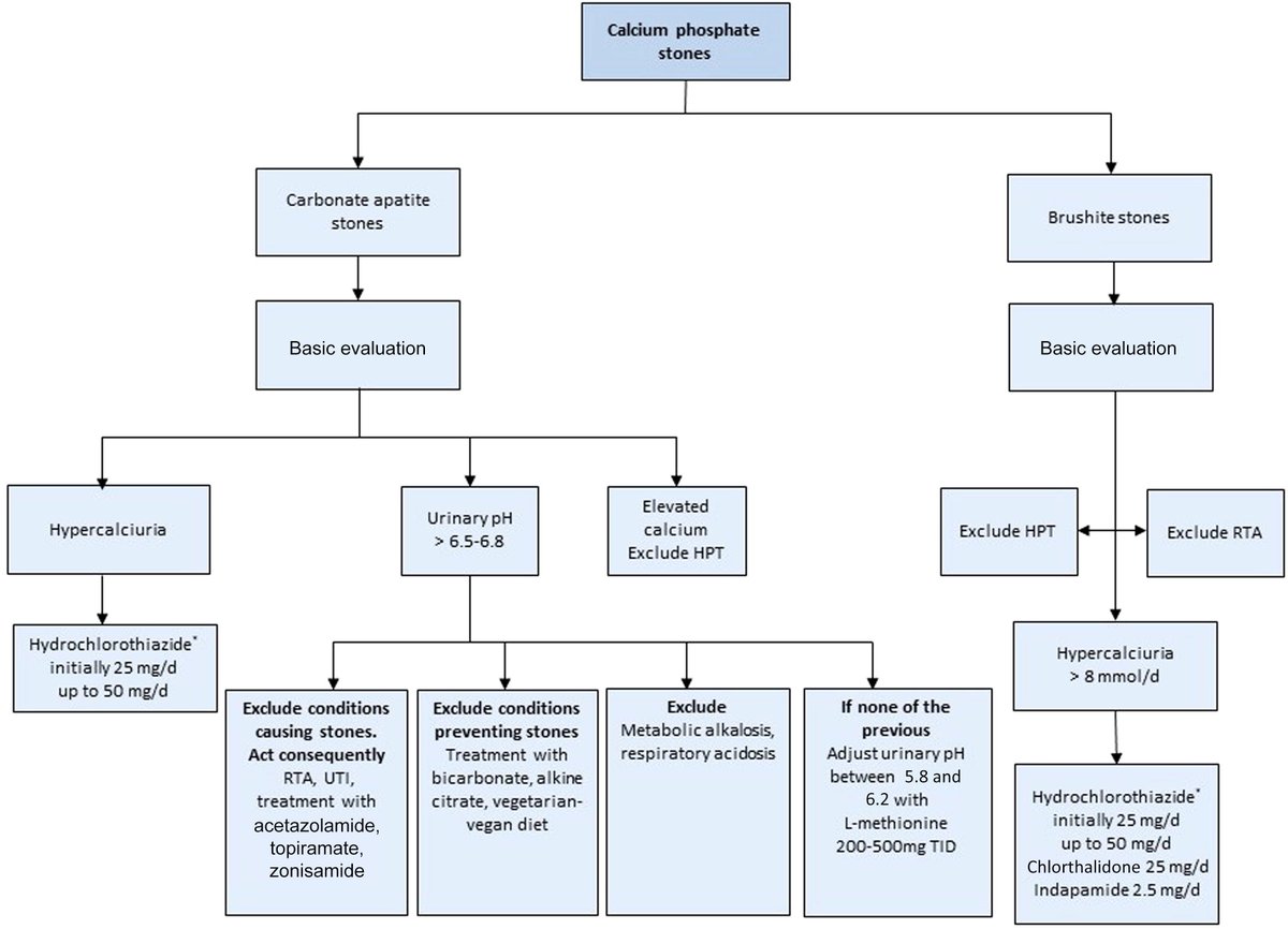 European Urology (@euplatinum) on Twitter photo Editor's Choice Platinum Priority - Review: Metabolic Evaluation and Recurrence Prevention for Urinary Stone Patients: An EAU Guidelines Update by <a href="/SkolarikosAndre/">Andreas Skolarikos</a> et al
Read the full article here: buff.ly/3TCslOw
Check back later for the Editorial!
#UroSoMe Editor's Choice Platinum Priority - Review: Metabolic Evaluation and Recurrence Prevention for Urinary Stone Patients: An EAU Guidelines Update by <a href="/SkolarikosAndre/">Andreas Skolarikos</a> et al
Read the full article here: buff.ly/3TCslOw
Check back later for the Editorial!
#UroSoMe
