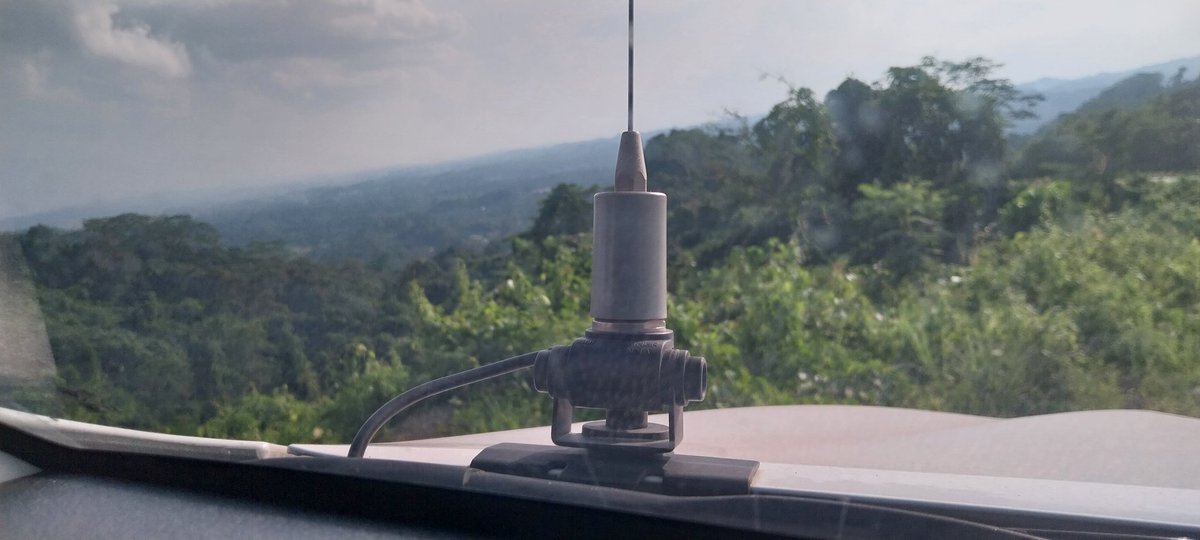 randomizz's tweet image. 