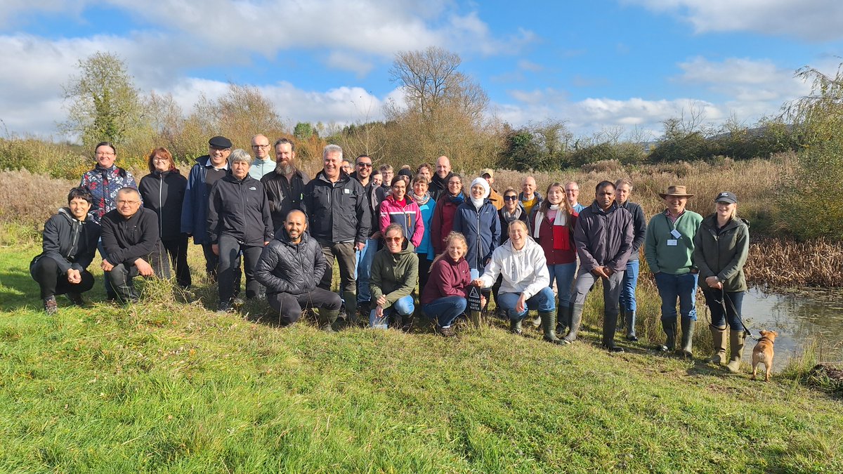 SpongeScapes tweet media