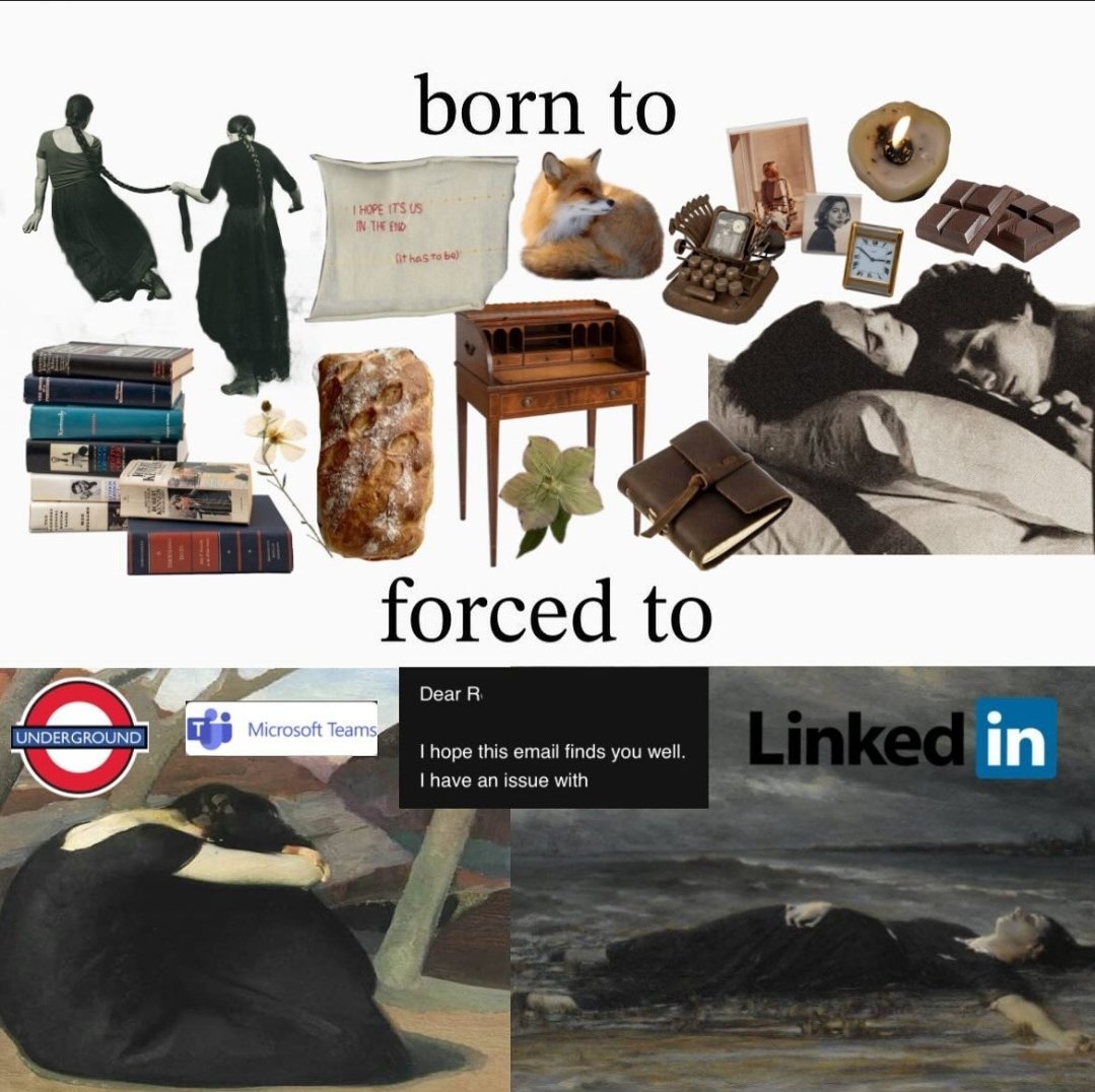 lulu 🫖 (@whereswansdream) on Twitter photo 