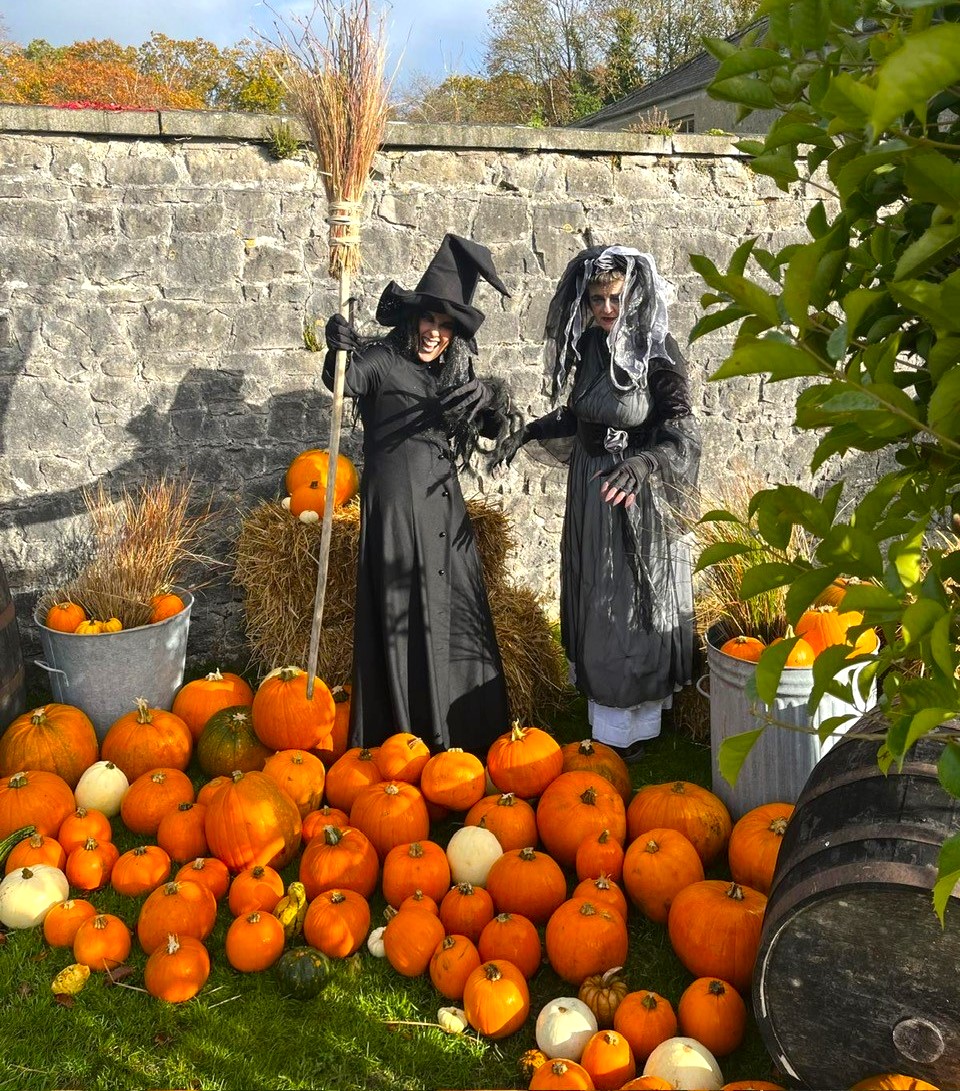 Emo Court (@emocourtopw) on Twitter photo Call to meet the witches of Emo today for a photo before they fly away. <a href="/tourism_laois/">Laois Tourism</a> <a href="/LaoisCouncil/">Laois County Council</a> <a href="/HeritageLaois/">The Heritage</a> <a href="/catocafinefood/">CaToCa Fine Foods</a> <a href="/opwireland/">Office of Public Works</a> <a href="/HeritageIreOPW/">Heritage Ireland</a> <a href="/MartleysCoaches/">Martleys Coach Hire - Portlaoise | Laois</a> <a href="/LaoisPeople1/">Laois People</a> <a href="/LaoisTatler/">Laois Tatler</a> <a href="/LaoisNetwork/">Laois Integration Network</a> <a href="/creativelaois/">Creative Laois</a> Call to meet the witches of Emo today for a photo before they fly away. <a href="/tourism_laois/">Laois Tourism</a> <a href="/LaoisCouncil/">Laois County Council</a> <a href="/HeritageLaois/">The Heritage</a> <a href="/catocafinefood/">CaToCa Fine Foods</a> <a href="/opwireland/">Office of Public Works</a> <a href="/HeritageIreOPW/">Heritage Ireland</a> <a href="/MartleysCoaches/">Martleys Coach Hire - Portlaoise | Laois</a> <a href="/LaoisPeople1/">Laois People</a> <a href="/LaoisTatler/">Laois Tatler</a> <a href="/LaoisNetwork/">Laois Integration Network</a> <a href="/creativelaois/">Creative Laois</a>
