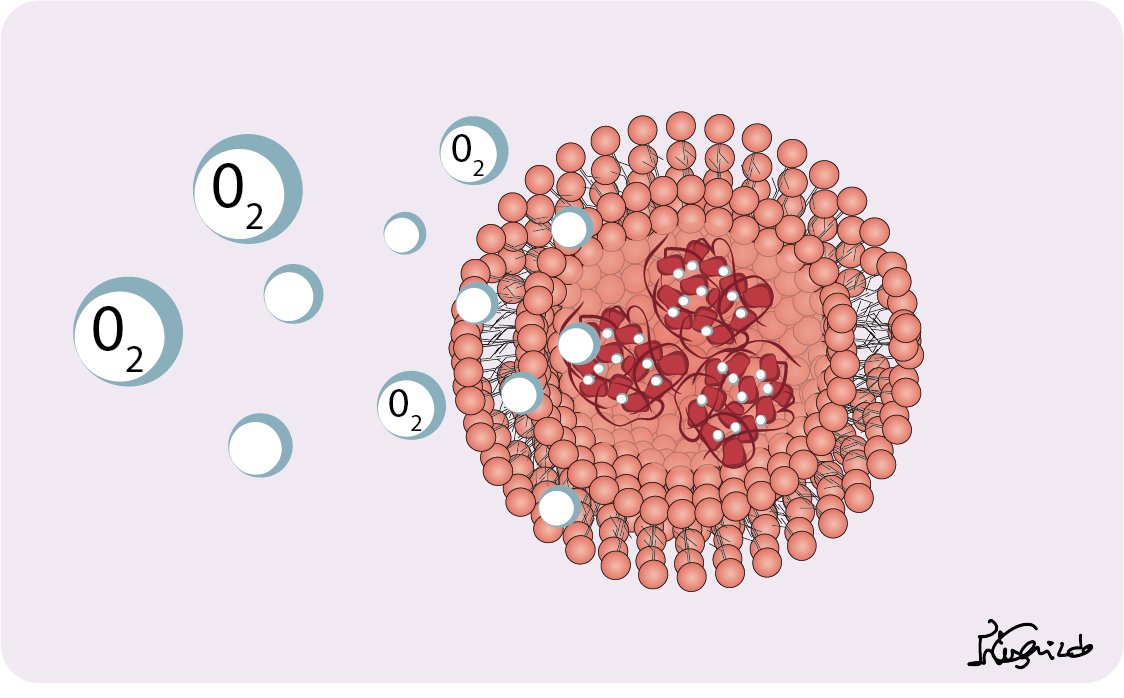 ScienceAsWeKnow's tweet photo. Life can be threatened due to severe blood loss and reduction in oxygen. 

Artificial Red Blood cells can save patients in situations where blood transfusions are not immediately available. 🩸💉

Check our blog for more information. 
https://t.co/IUapwfxGAO https://t.co/5HXQhRoacD