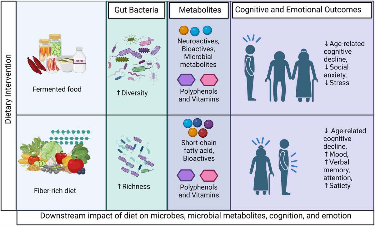 Effects of dietary fiber and fermented foods on cognition via the gut-brain axis. 

#MedTwitter #GITwitter #diet #nutrition 

cambridge.org/core/journals/…