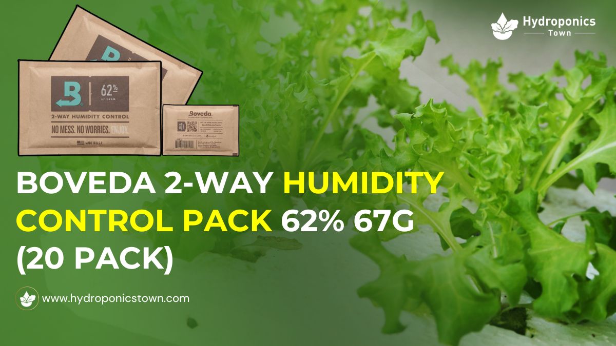 HydroponicsTown's tweet image. Keep your cigars and cannabis fresh with Boveda 2-Way Humidity Control! Perfect 62% humidity, ultimate flavor preservation. Grab a 20-pack now for optimal freshness!

Order now: bit.ly/3YDuKLP

#hydroponicstown #hydroponics #humiditypacks #boveda