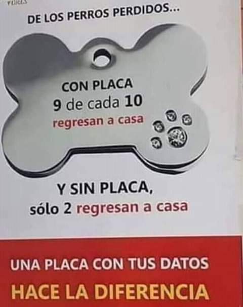 POR FAVOR IDENTIFIQUEN A SUS MASCOTAS. PASEARLOS CON COLLAR, CHAPITA Y CORREA. VOS SALDRIAS SIN DOCUMENTOS, PLATA O LLAVES? PORQUE ELLOS SALEN SIN CHAPITA? CUIDALOS! EL VERSO "ESTÁ ACOSTUMBRADO" "SABE VOLVER" YA NO CORRE MÁS. RESPONSABILIDAD!