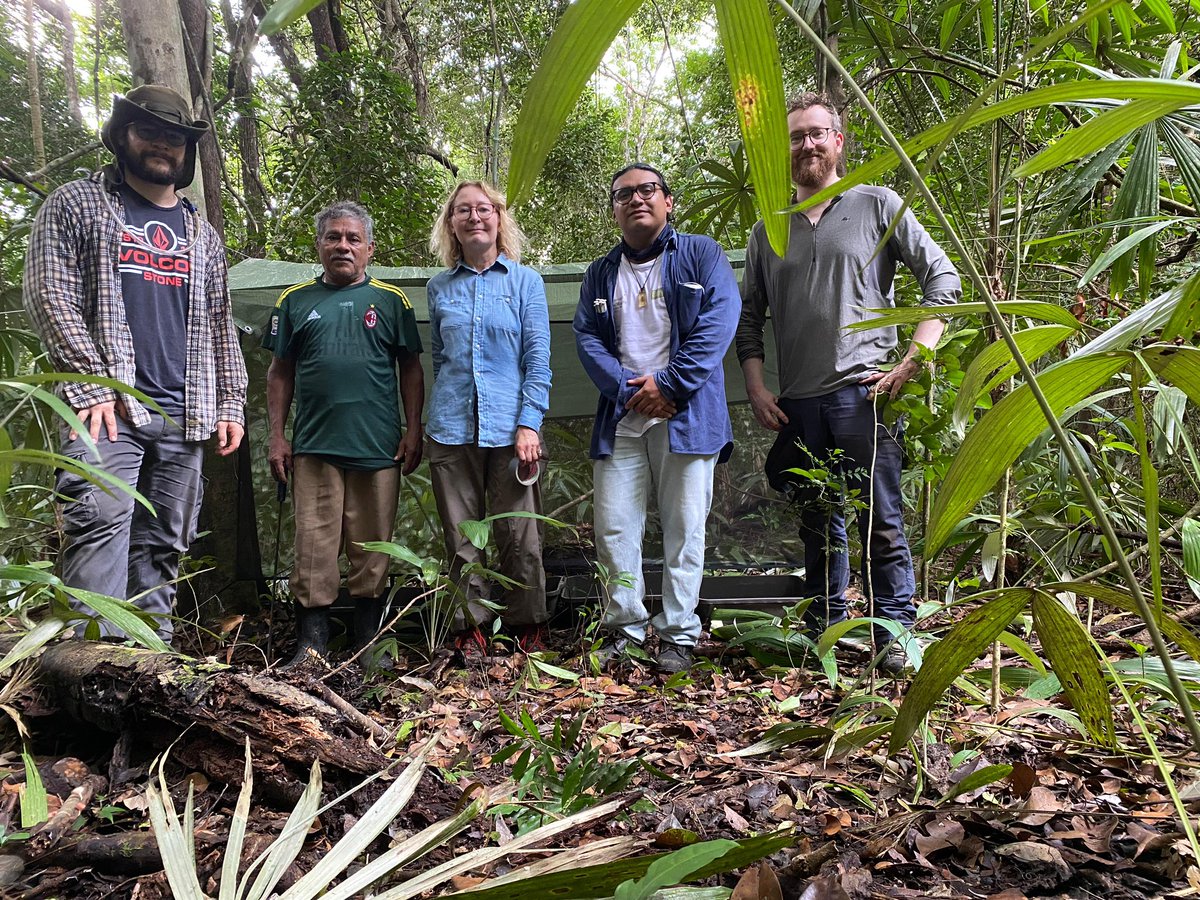 BeetleMania (@beetlephylo) on Twitter photo The classic entomologists at their proudly built flight interception trap! Thanks to <a href="/ib_unam/">@ib_unam</a> for access to the beautiful and diverse Laguna Om reserve <a href="/NHM_Science/">Science at the Natural History Museum</a> <a href="/Cicadilson/">J. Adilson Pinedo-Escatel</a> <a href="/NHM_Bees/">🐝 NHM Bees 🐝</a> diversity project for beetles bees and leafhoppers 🐝 🪲 🌳 The classic entomologists at their proudly built flight interception trap! Thanks to <a href="/ib_unam/">@ib_unam</a> for access to the beautiful and diverse Laguna Om reserve <a href="/NHM_Science/">Science at the Natural History Museum</a> <a href="/Cicadilson/">J. Adilson Pinedo-Escatel</a> <a href="/NHM_Bees/">🐝 NHM Bees 🐝</a> diversity project for beetles bees and leafhoppers 🐝 🪲 🌳