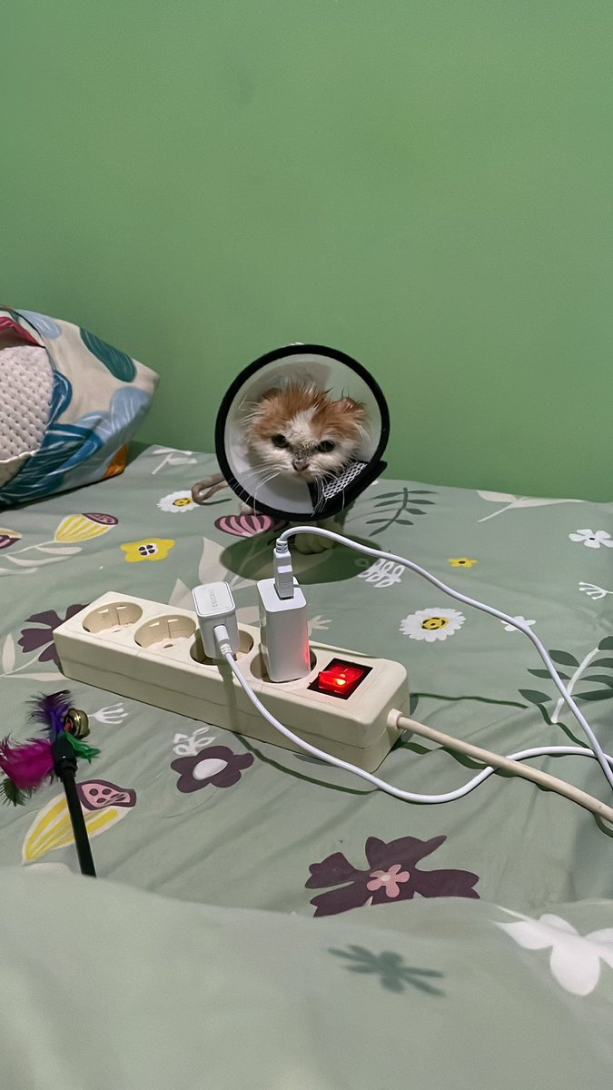 sampai kapan adek pakai ini ini mih???😤😤