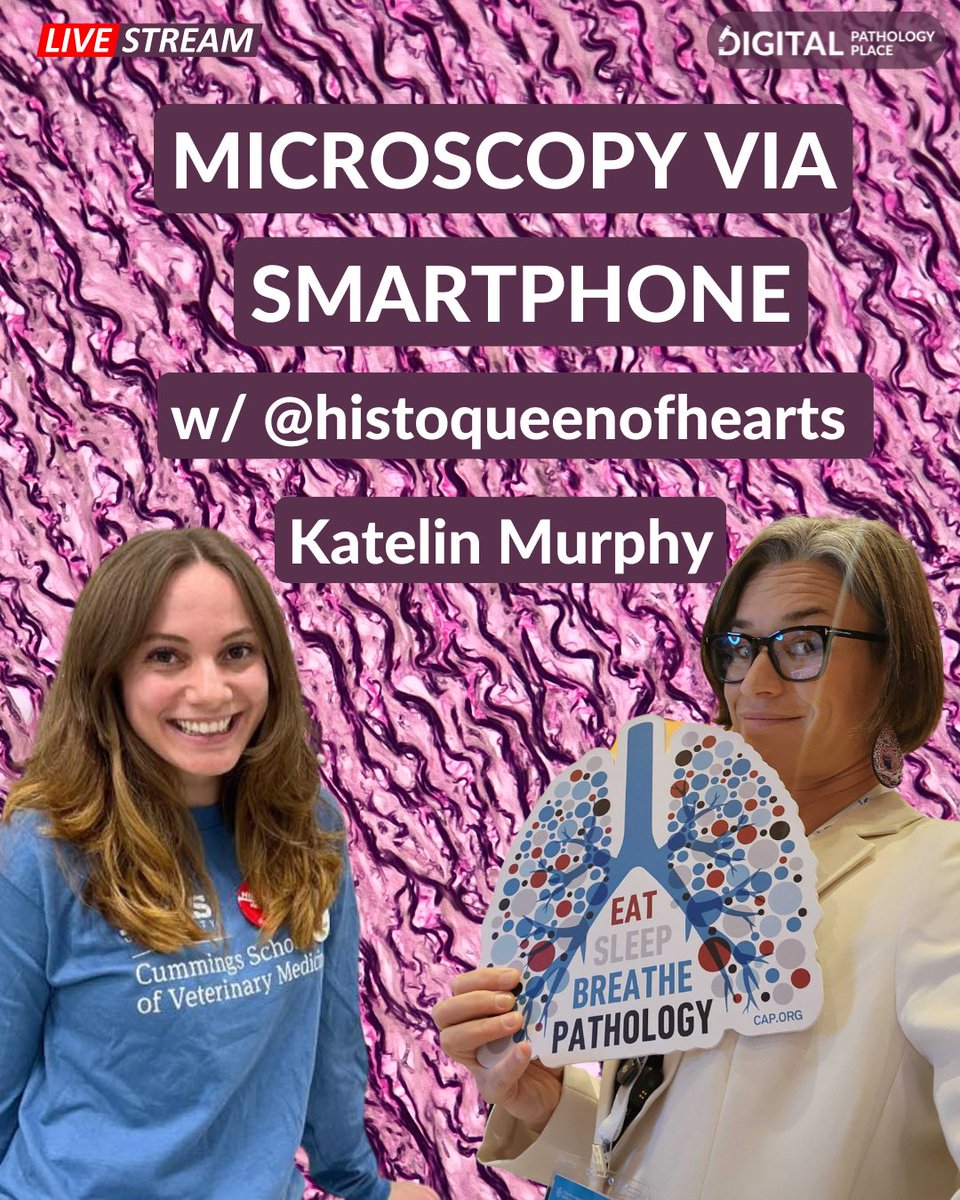 olkazuraw's tweet image. Think microphotography needs pro gear? 
Meet @Histoqueenofhearts -Kate Murphy, capturing 
stunning microscope shots with just her smartphone! 
Join us live on Oct. 30, 12 p.m. EST, for insights into 
her process &amp;amp; digital pathology journey! 🎥 
#DigitalPathology #SmartMicroscopy