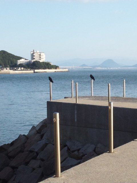 黄昏れカラスを
静かに見ていた あの日

今日も１日お疲れさまでした。
やさしい夜をお過ごしください♪