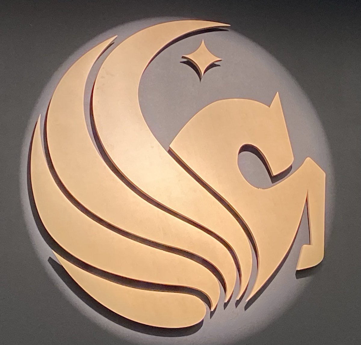 Debra Bragg (@ddbragg) on Twitter photo Talking transfer research today at <a href="/UCFKnights/">UCF Knights 🌴</a>. Annual Florida Consortium on #Transfer Student Success is about to launch. <a href="/braggassociates/">Bragg & Associates</a> <a href="/sova_solves/">Sova</a> <a href="/AlisonKadlec/">Alison Kadlec</a> Talking transfer research today at <a href="/UCFKnights/">UCF Knights 🌴</a>. Annual Florida Consortium on #Transfer Student Success is about to launch. <a href="/braggassociates/">Bragg & Associates</a> <a href="/sova_solves/">Sova</a> <a href="/AlisonKadlec/">Alison Kadlec</a>