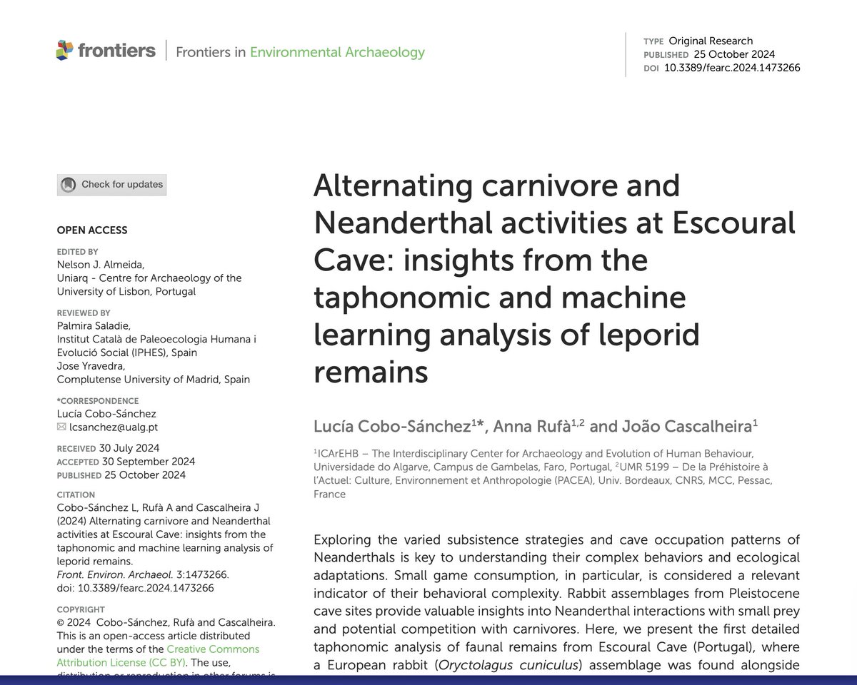🎉Excited to share our latest paper in <a href="/FrontiersIn/">Frontiers</a> on new insights from Escoural Cave! 
🔍Our research focuses on the taphonomy of a rabbit assemblage found alongside Neanderthal artifacts at this significant site.🐰(1/7)
frontiersin.org/journals/envir…