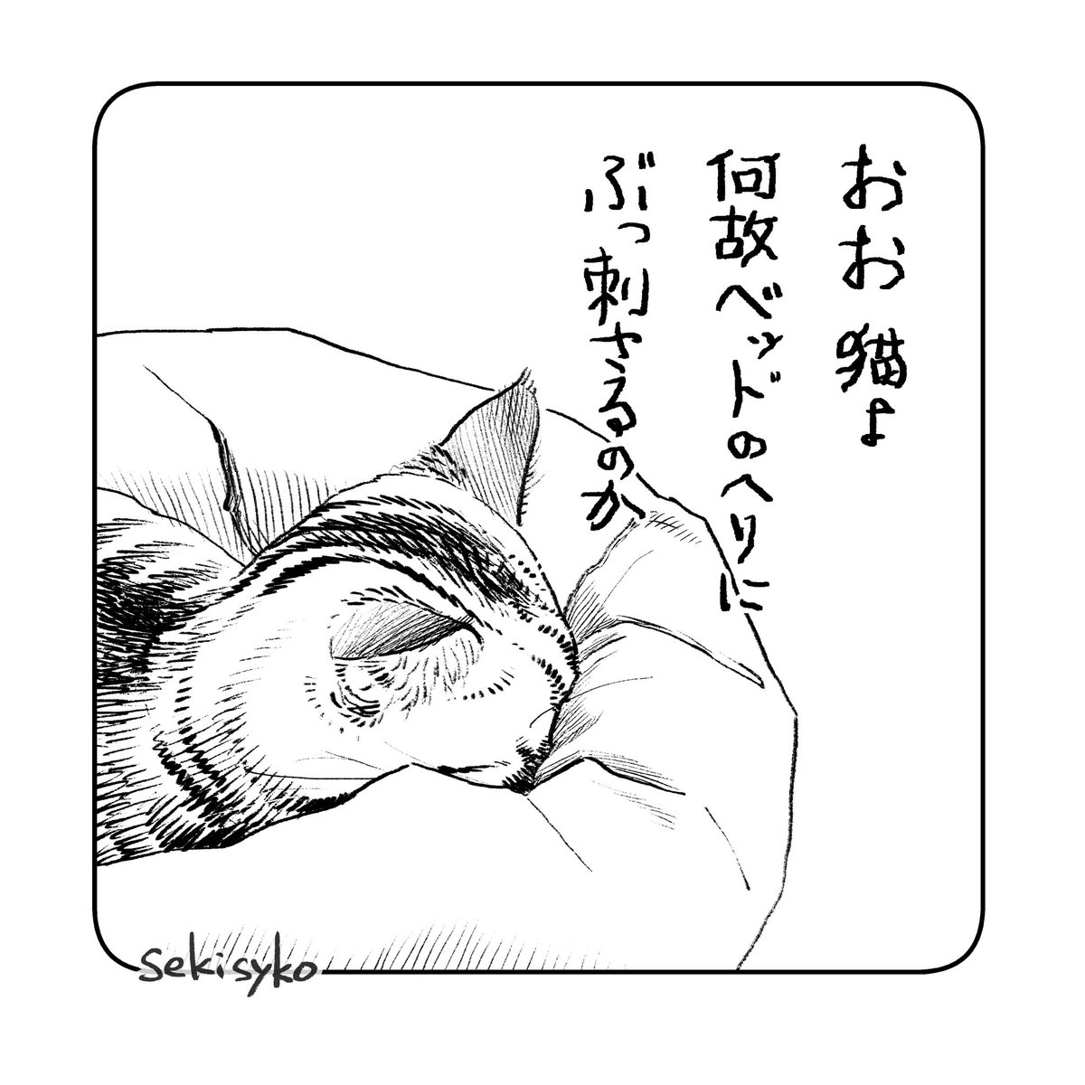 雑日記
顔が寒いんか。そういえば冬になると人間の足に顔めり込ませてくるな 
