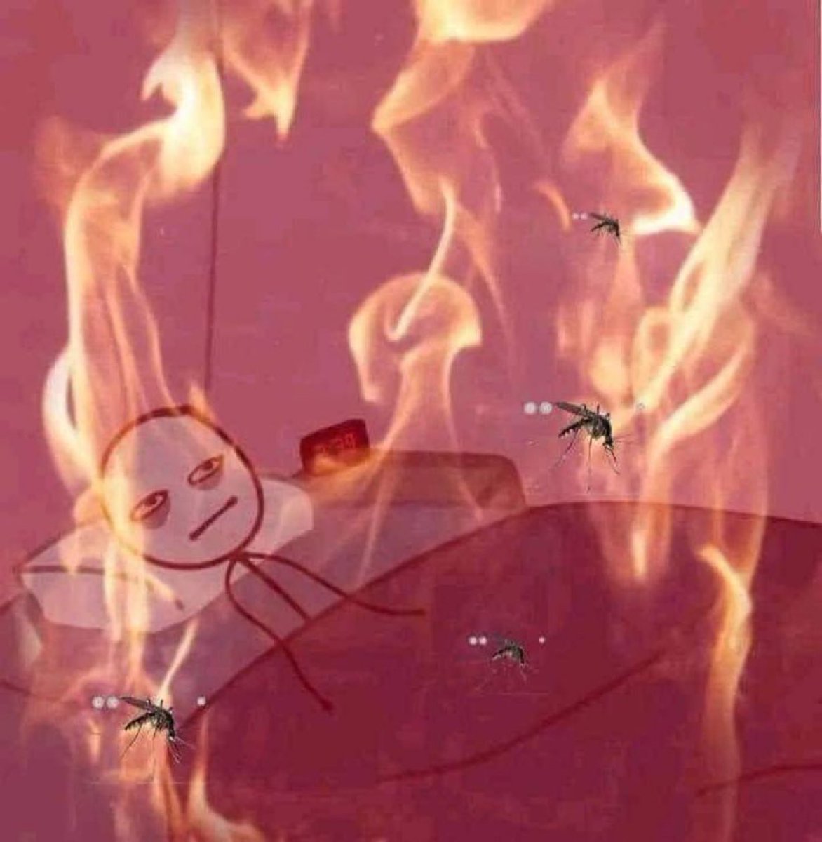 "Yes bro summer is better than winter"

the Summer: