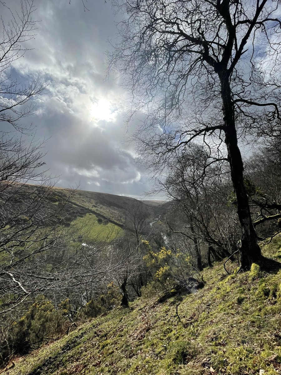 We have every November weekend available at ExmoorCentre.co.uk ! Madness, its one of the best times to be here for #Stargazing and #Campfires
#Exmoor #Wildlife 
Email us now to book