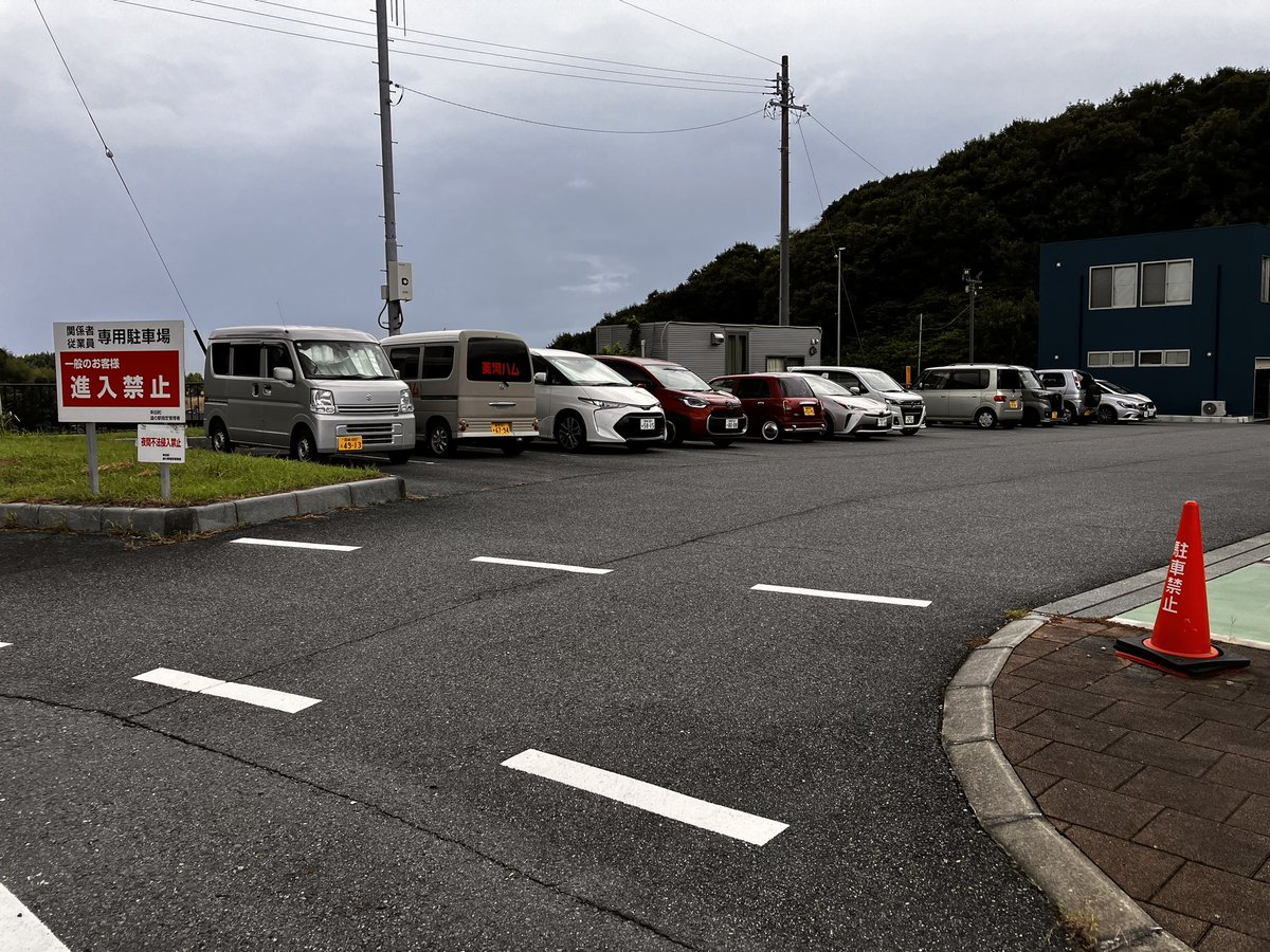 然照点点 tweet media