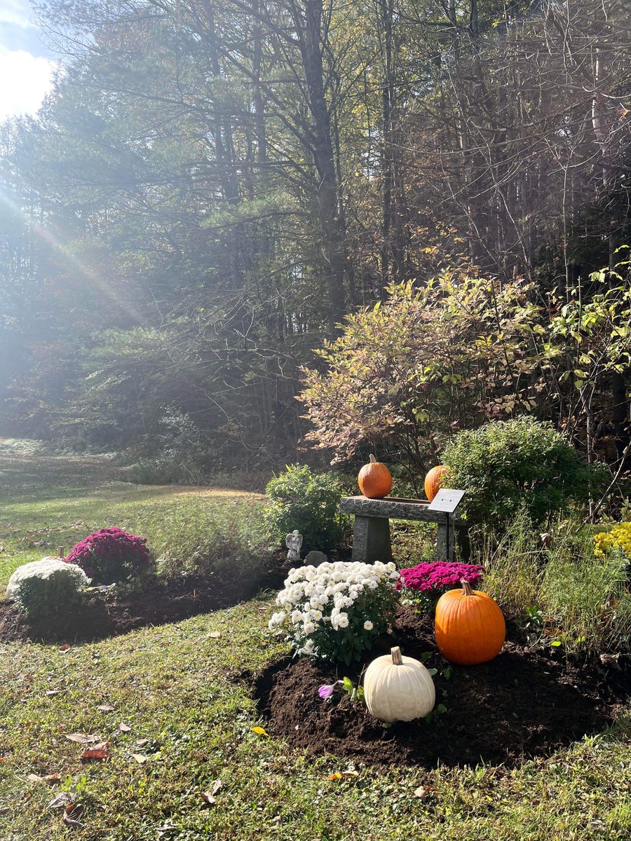NVRHCareers's tweet photo. REMINDER - The annual Memorial Service at the Remembrance Bench in the Mt. Pleasant Cemetery is tomorrow, Monday, Oct. 28 at 1 p.m. This service is for anyone who has experienced the death of a baby or child, or supported someone who has. More info at https://t.co/IyB9iuKqj9 https://t.co/K36xLkbILv