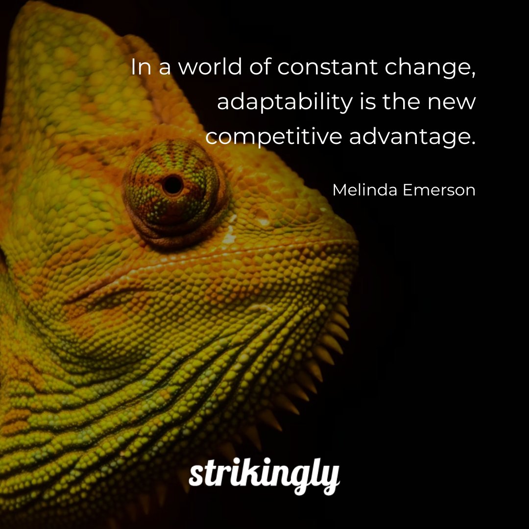Advantage Of Quotes 12 Quotes By Gabriel Garcia Marquez That'll Help