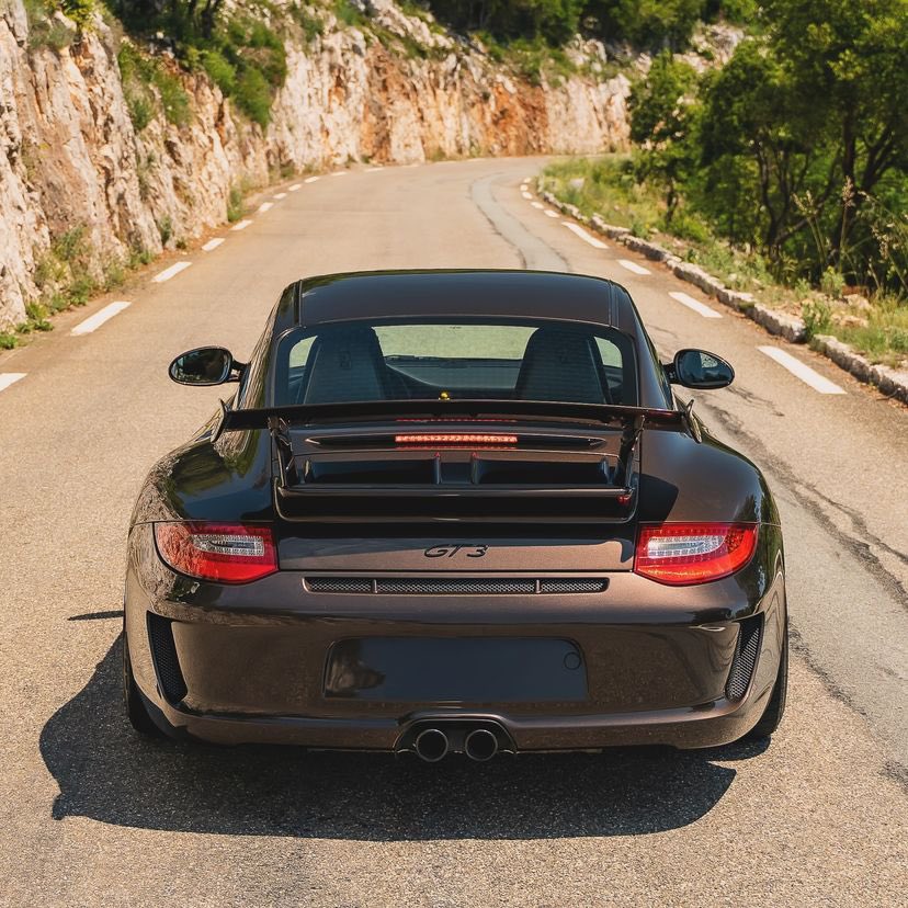 Paint-to-Sample Macadamia Metallic 997 GT3