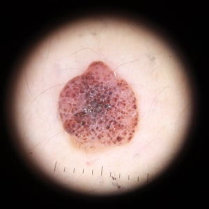 Cosmedics tweet media