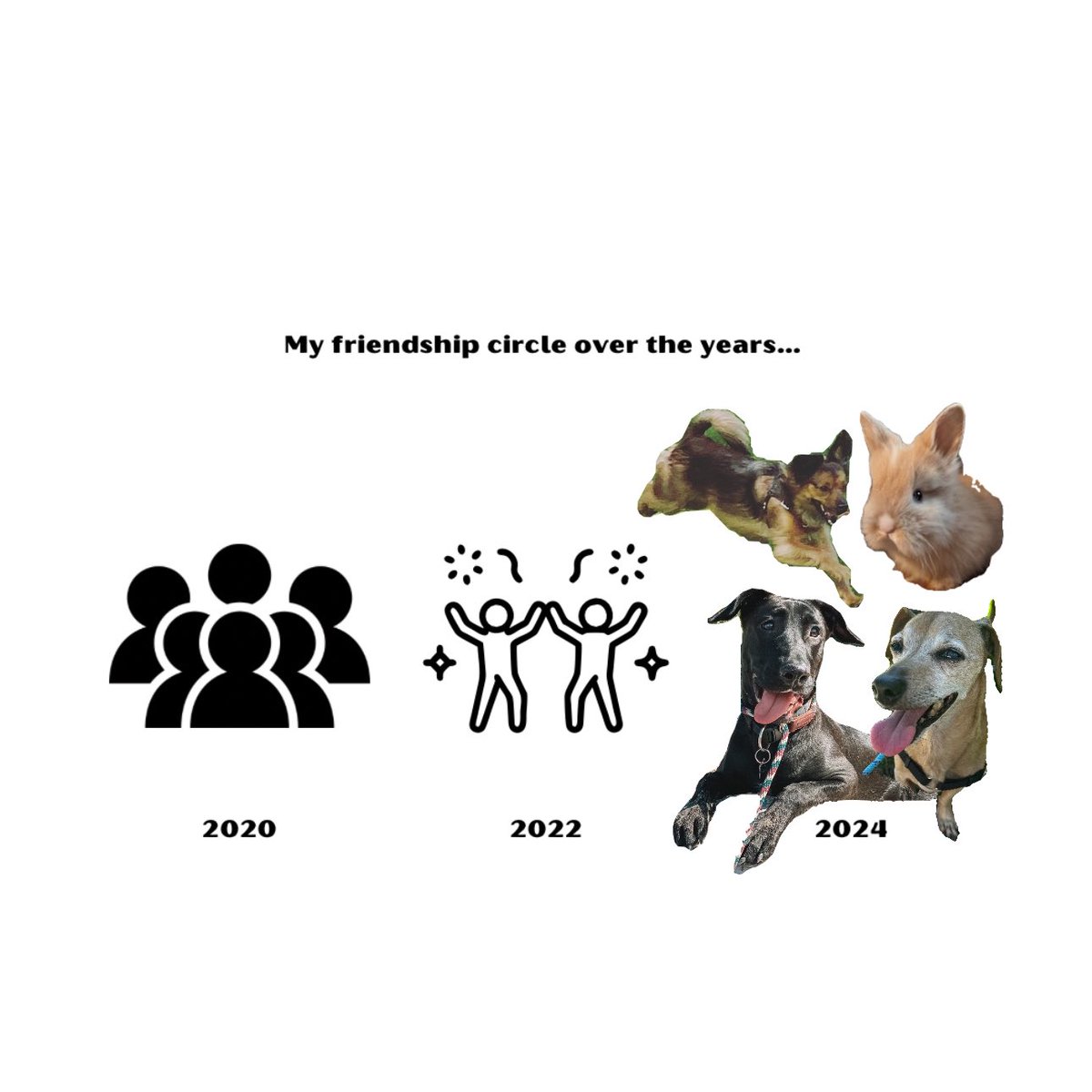 ConsciousCie's tweet photo. 2020 - 2 dogs, 2022 - 3 dogs 1 bunny, 2024 - “Sorry I can’t hangggg— I’ve got to feed the farm.” 🤩💖 https://t.co/PIVuVu4Q9i