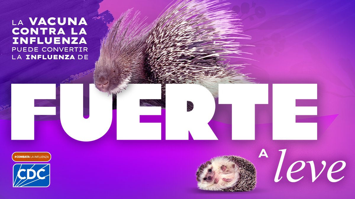 Tener #influenza no es divertido, pero la vacuna puede ayudar a que los síntomas no sean tan fuertes. Los CDC recomiendan que todas las personas de 6 meses o más se vacunen antes de fines de octubre para obtener la mejor protección. bit.ly/3TKUR0F #COMBATELaInfluenza