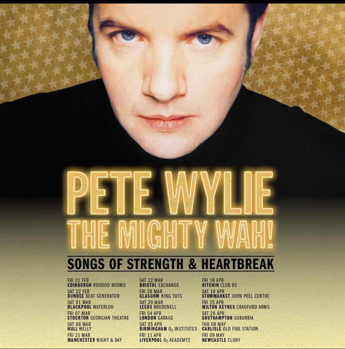 Pete Wylie is WAH!🌟 tweet media