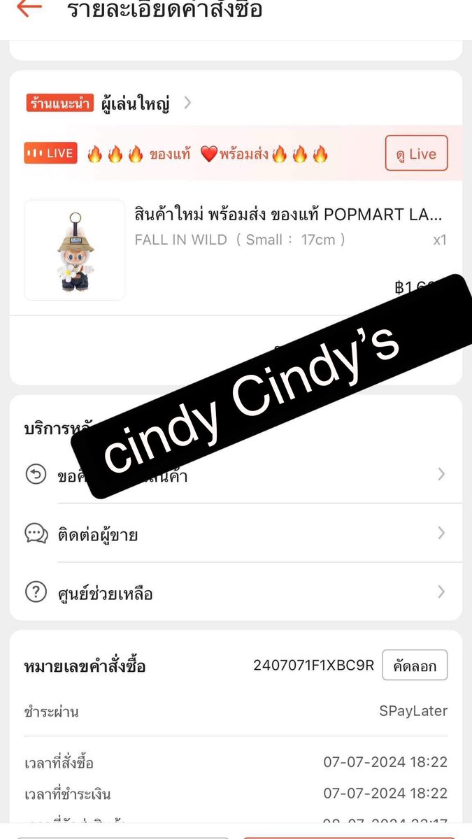 cindy cindy’s tweet media