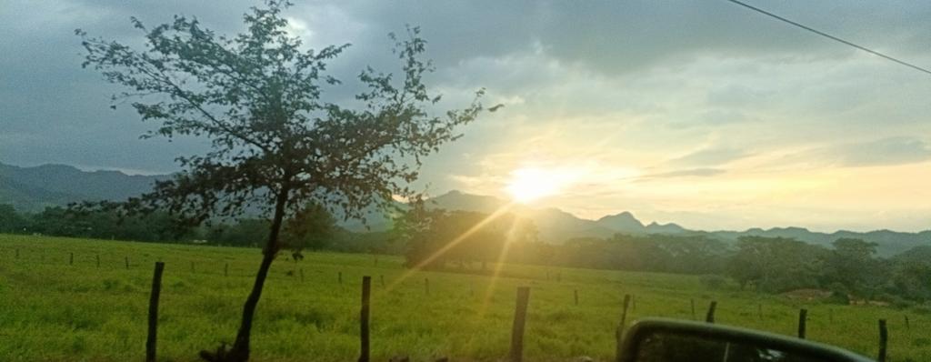 TalinJesus's tweet photo. Excelente tarde,... Antes de la tremenda lluvia 😅😅 https://t.co/x2Axy2qr32