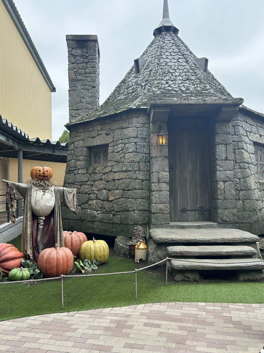 sagood16's tweet photo. 先日ハリーポッタースタジオツアー　としまえんに行ってきました。ハロウィン🎃の飾りかあった。また、映画を改めて観たいと思いました☺️
#ハリーポッタースタジオツアー　としまえん#ハリーポッター https://t.co/jNdCJ6KuOA