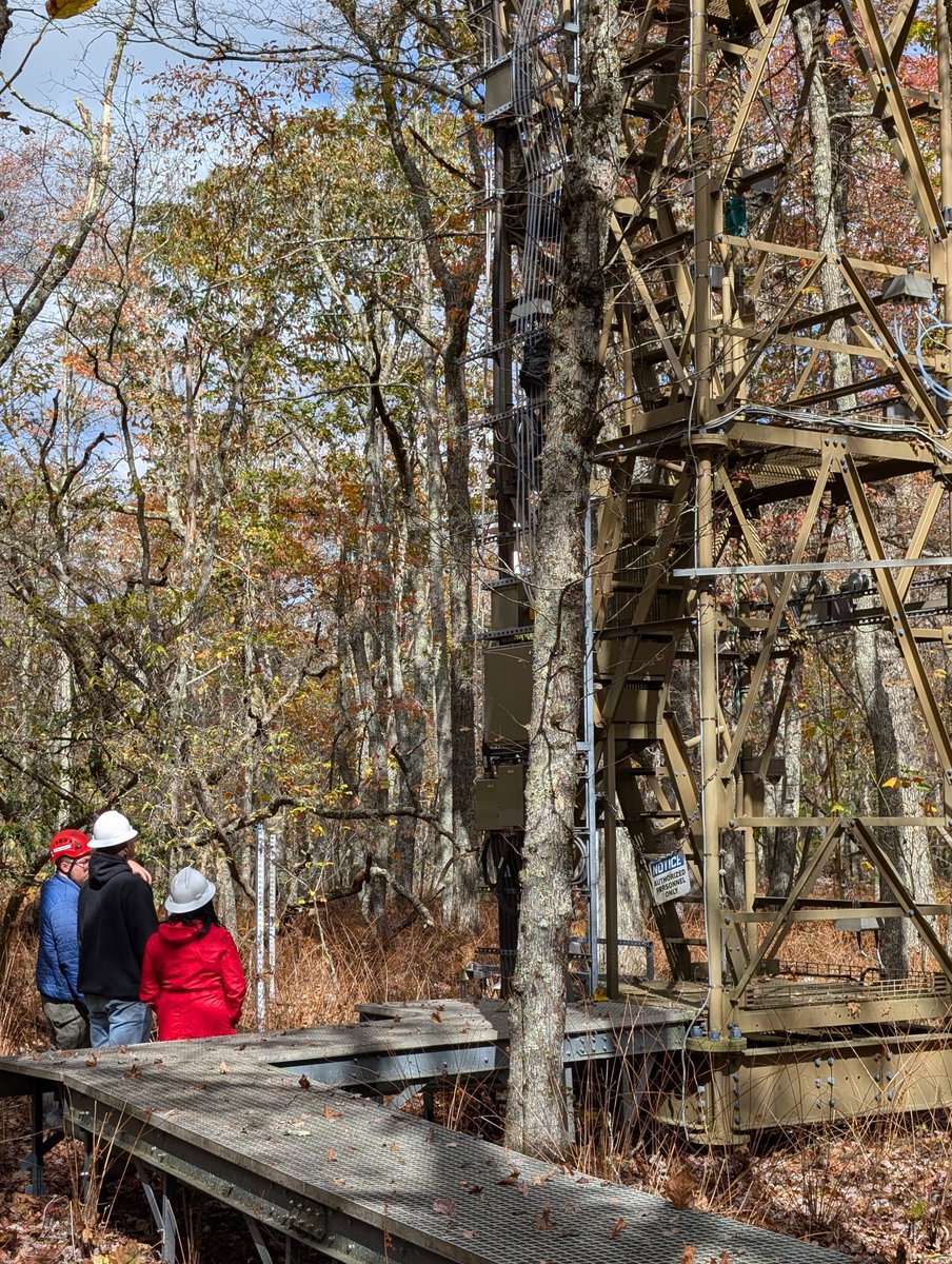 Bryan McLean tweet media