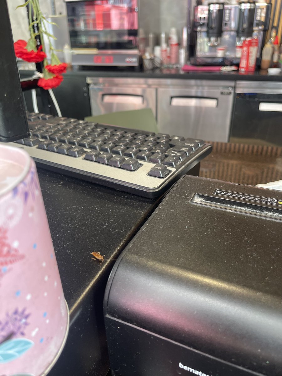 Luis Then A. tweet media