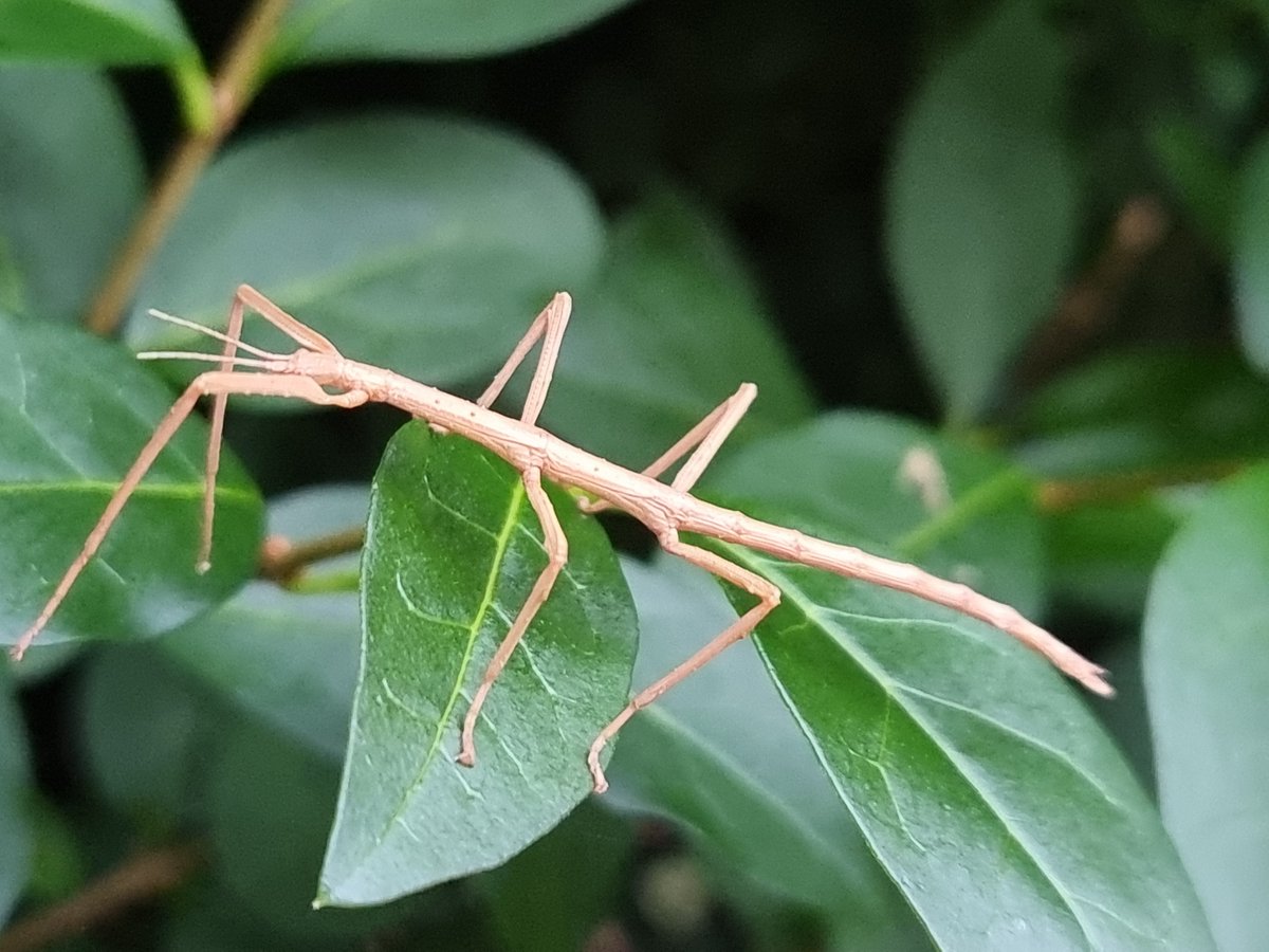 Bob Mehen tweet media