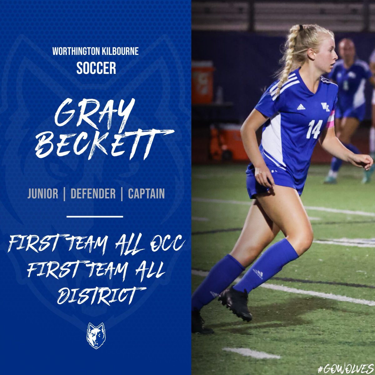 Congratulations to all of our athletes who received Ohio Capital Conference &amp; District awards! We are so proud of you! 🤍💙