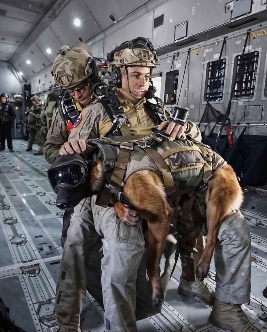 Be drawn to the allure of I like!