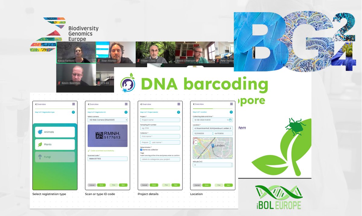 Biodiversity Genomics Europe (BGE) (@biogeneurope) on Twitter photo ♨️Live @ #BG24: 2nd <a href="/BioGenEurope/">Biodiversity Genomics Europe (BGE)</a> session during the #biodiversity #genomics Conference. It is time for our other big community: <a href="/iBOLEurope/">iBOLEurope</a>. Topics for the next hour: barcoding with #nanopore technology and museum specimen barcoding, among other things. <a href="/REA_research/">European Research Executive Agency</a> #DNA ♨️Live @ #BG24: 2nd <a href="/BioGenEurope/">Biodiversity Genomics Europe (BGE)</a> session during the #biodiversity #genomics Conference. It is time for our other big community: <a href="/iBOLEurope/">iBOLEurope</a>. Topics for the next hour: barcoding with #nanopore technology and museum specimen barcoding, among other things. <a href="/REA_research/">European Research Executive Agency</a> #DNA