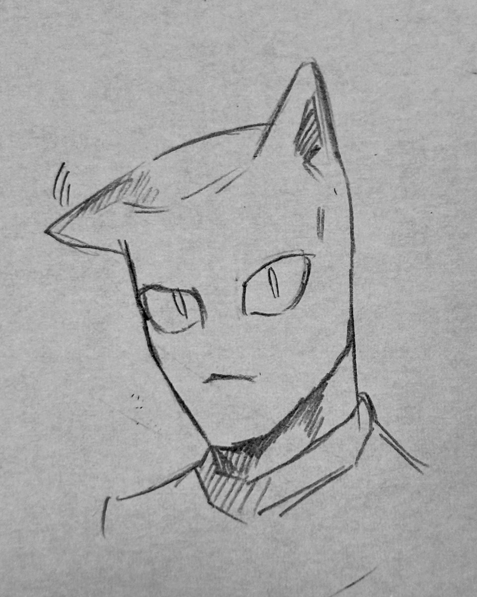 メメタァ🍅ゑり tweet media
