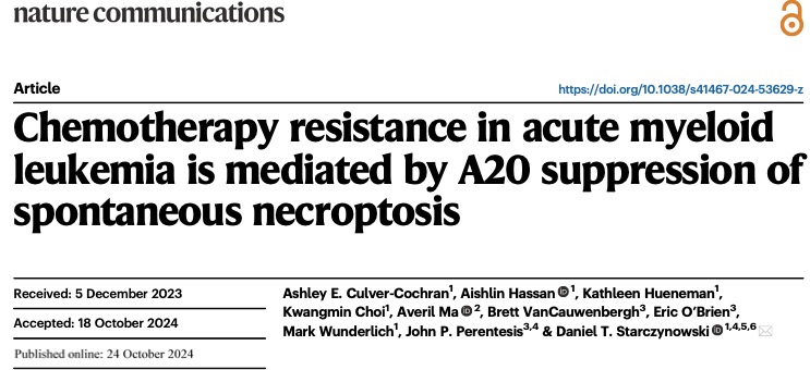 We’re excited to share our latest paper in <a href="/NatureComms/">Nature Communications</a> uncovering a new mechanism behind chemotherapy resistance in AML: nature.com/articles/s4146…