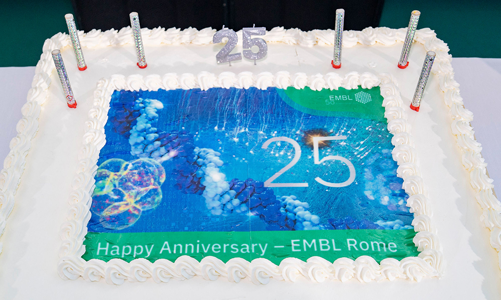 EMBLRome's tweet image. It was a huge pleasure to celebrate our silver anniversary with staff, alumni and friends of EMBL Rome!
We looked back with emotion at 25 years of challenges and achievements through the stories of our alumni, who are the roots of this site.
Thank you for being with us!